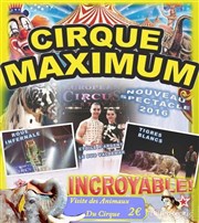 Le Cirque Maximum dans Authentique | - Marvejols Chapiteau Maximum  Marvejols Affiche