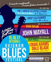 Avignon blues festival 2015 | Pass 2 soirs Salle polyvalente de Montfavet Affiche