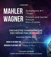 Concert de l'Orchestre Symphonique des Médecins de France Cathdrale Saint Louis des Invalides Affiche