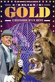 Cirque Gold - L'histoire d'un rêve | - Montauban Chapiteau Cirque Gold  Montauban Affiche