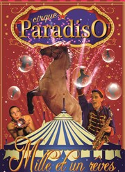Cirque Paradiso dans Mille et un rêves Chapiteau du Cirque Paradiso  Saint Fargeau Affiche
