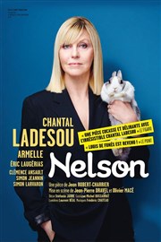 Nelson | avec Chantal Ladesou et Armelle Thtre de Longjumeau Affiche