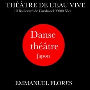 Danse Théâtre Japon Thtre de l'Eau Vive Affiche