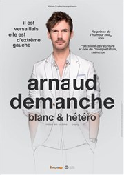 Arnaud Demanche dans Blanc et hétéro L'Art D Affiche