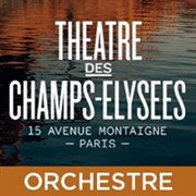 Orchestre de chambre de Paris Thtre des Champs Elyses Affiche