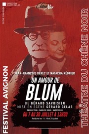 Un amour de Blum Thatre du Chne Noir - Salle John Coltrane Affiche