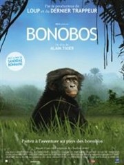 Bonobos Muse Dapper Affiche