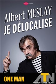 Albert Meslay dans Je délocalise L'ATN Affiche
