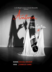 Anima : Hommage à Jean Cocteau Albatros Thtre Affiche