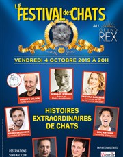 Le Festival des Chats Le Grand Rex Affiche