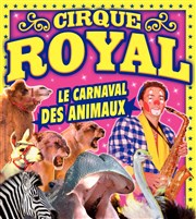Cirque Royal | - Hyères Chapiteau Cirque Royal  Hyres Affiche