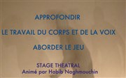 Stage théâtral corps voix et jeux La Boutonnire Affiche