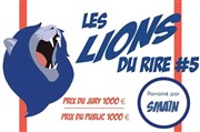 Castings du Festival Lions du rire édition 5 Maison Ravier Affiche