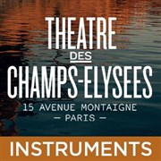 Elena Bashkirova piano Thtre des Champs Elyses Affiche