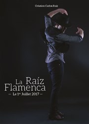 Raíz Flamenca Carlos Ruiz Thtre 13 / Glacire Affiche
