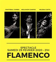 Soirée spectacle flamenco Pena Copas y compas Affiche