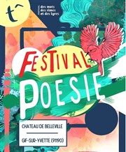 Festival des Mots des Rimes et des Lyres - Pass 3 jours Chteau de Belleville Affiche
