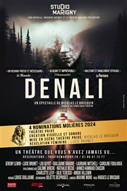 Denali Studio Marigny Affiche