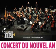 Concert du nouvel an Salle Polyculturelle du Camp Romain Affiche