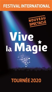 Festival International Vive la Magie Thtre Fmina Affiche