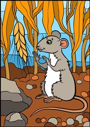 Les aventures du rat Patatra Comédie de Grenoble Affiche