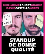 David Castello-Lopes & Guillaume Pouget-Abadie dans Un Stand-up de bonne qualité La Petite Loge Théâtre Affiche