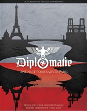 Diplomatie Le Carr 30 Affiche