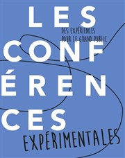 Conférence expérimentale : Etudier les symétries des pavages et polyèdres avec le Labosoïque Espace des sciences Pierre-Gilles de Gennes Affiche