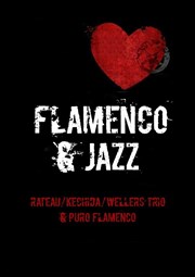 Puro Flamenco Abricadabra Pniche Antipode Affiche