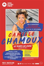 Camille Chamoux dans Le temps de vivre Théâtre de la Porte Saint Martin Affiche