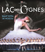 Le Lac des Cygnes | par le Ballet Royal de Moscou Radiant-Bellevue Affiche