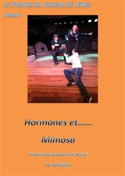Hormones et... Mimosa Thtre de l'Avant-Scne Affiche