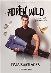 Adrien Wild dans La vraie vie d'un magicien Palais des Glaces - grande salle Affiche