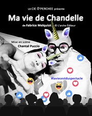 Ma Vie de Chandelle MPAA Broussais Affiche