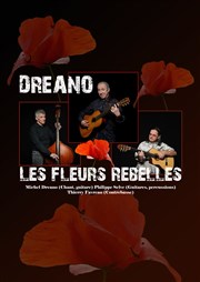 Dreano, les fleurs rebelles Centre culturel La Rue Affiche