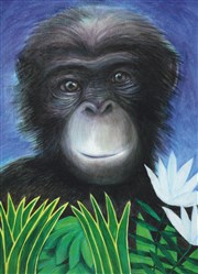 Malingà, reine des bonobos Thtre de Nesle - grande salle Affiche