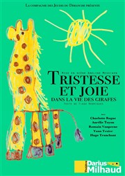 Tristesse et joie dans la vie des girafes Théâtre Darius Milhaud Affiche