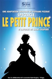 Le Petit Prince Thtre Armande Bjart Affiche