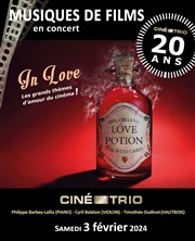 Ciné Trio Concert n°59 : In love, Les grands thèmes d'amour du cinéma | Musiques de films Temple des Batignolles Affiche