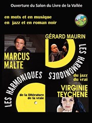 Les Harmoniques | En mots et en musique, en jazz et en roman noir Auditorium Erik Satie Affiche