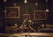 Cirque Le Roux dans The Elephant in the room Le Théâtre, Scène Nationale de Saint-Nazaire Affiche