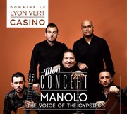 Manolo & The Voice of the Gypsies Casino Le Lyon Vert Affiche