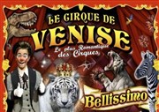 Cirque de Venise | Nîmes Chapiteau du Cirque de Venise  Nmes Affiche