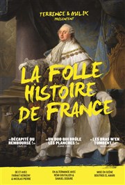 La Folle Histoire de France par Terrence et Malik Chteau de Fargues Affiche