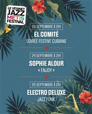 Le Vésinet Jazz Métis Festival | Pass 3 jours Thtre du Vsinet - Cinma Jean Marais Affiche