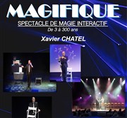 Xavier Chatel dans Magifique Bibi Comedia Affiche