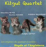 Amandine Beyer avec le Kitgut Quartet Thtre de la Tour Eiffel Affiche