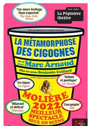 La métamorphose des cigognes La Pépinière Théâtre Affiche