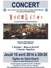Ensemble choral Vocalitas Eglise de Meudon la Fort Affiche