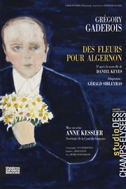 Des fleurs pour Algernon Studio des Champs Elyses Affiche